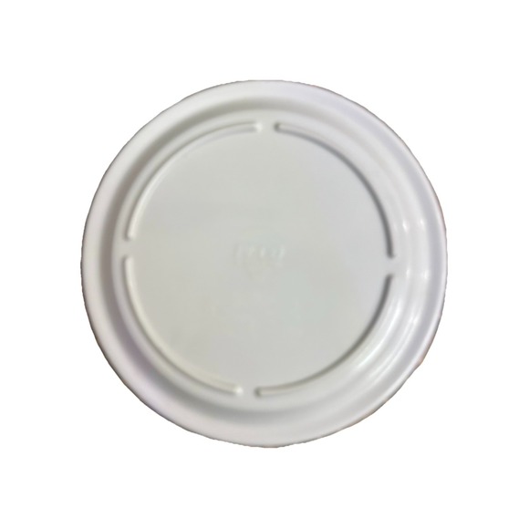 Vtg PECO Peanut's Plate 1960's The Gang Charlie Brown, Snoopy, Lucy EUC Rare - Picture 3 of 4